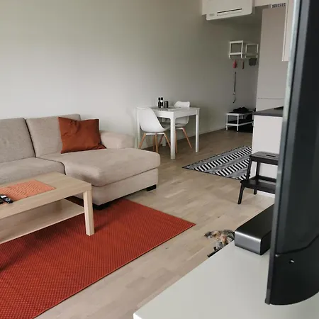 Fin Leilighet 1,4 Km Fra Sentrum Apartment